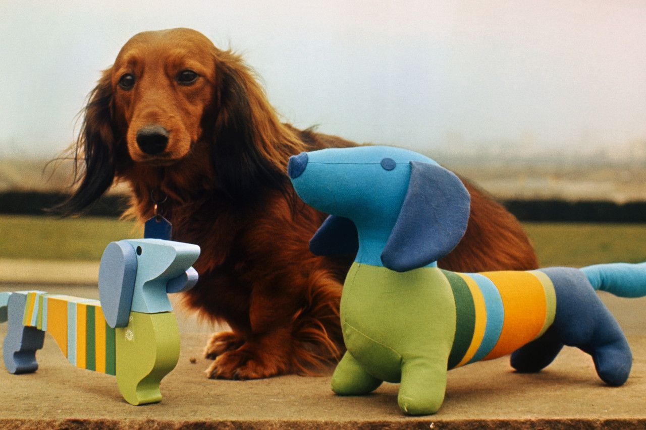 Peluche de perro salchicha de diferentes tonalidades de azul, verde y naranja a lado de un juguete de el mismo y un perro salchicha